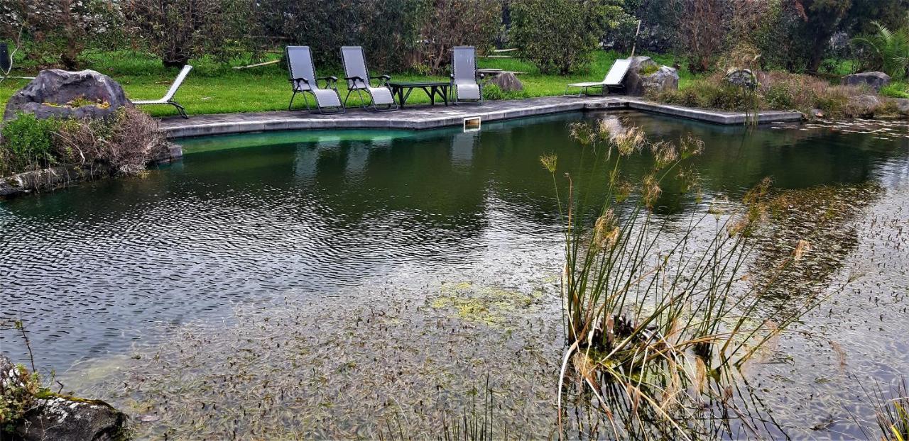 Quinta Do Bom Despacho Ponta Delgada Esterno foto