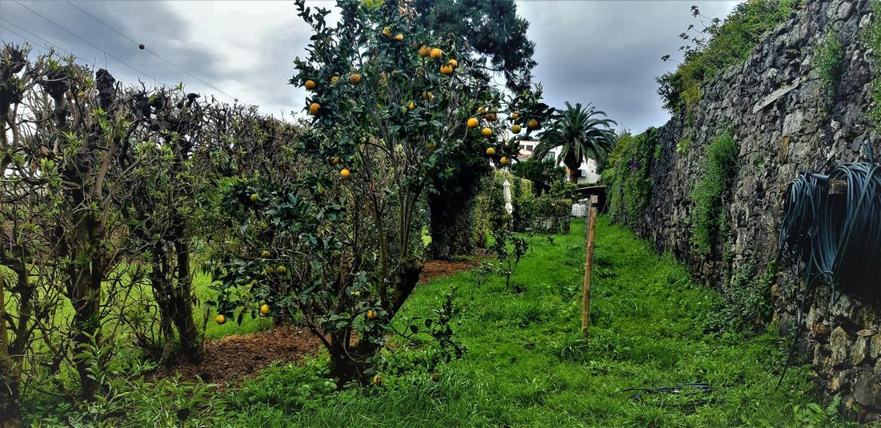 Quinta Do Bom Despacho Ponta Delgada Esterno foto