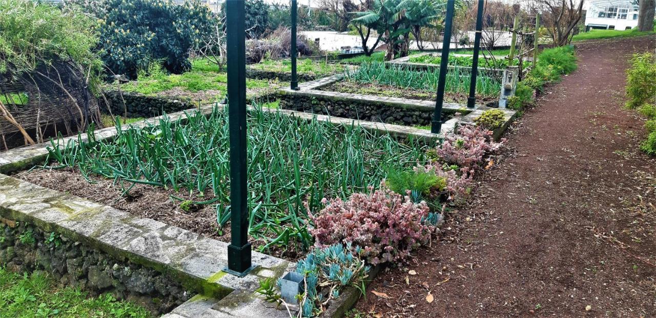 Quinta Do Bom Despacho Ponta Delgada Esterno foto